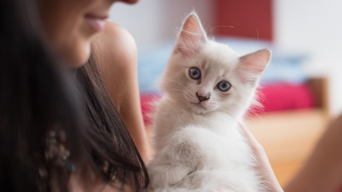 I gioielli del lutto per la perdita dell’animale sono soltanto simboli?