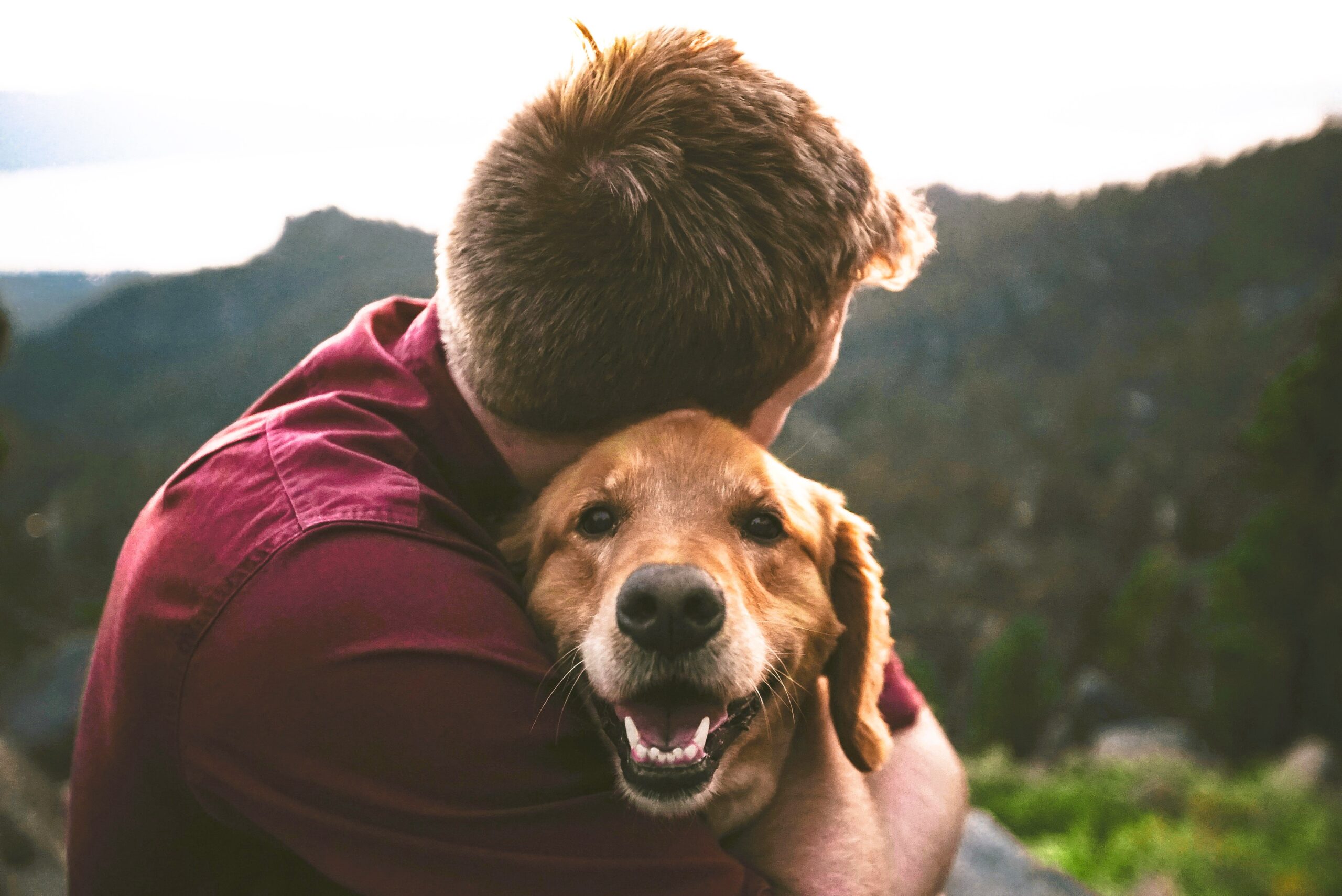 L’amore di un animale: una relazione oltre la morte
